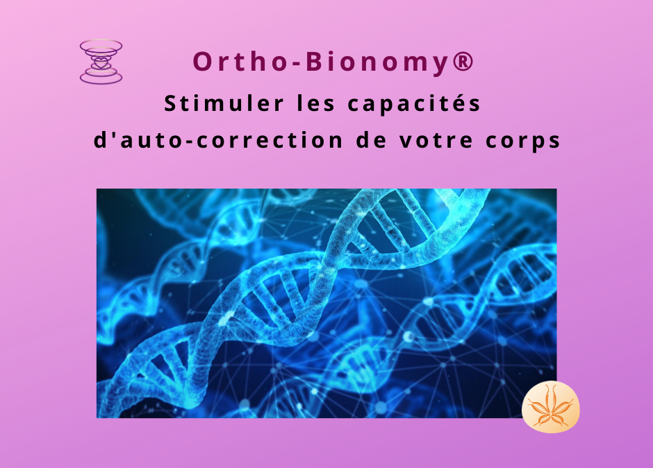 Stimuler les capacités naturelles d'auto-correction du corps grâce à l'Ortho-Bionomy