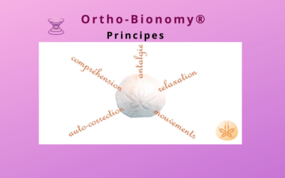 Comment ça fonctionne l’Ortho-Bionomy®?                                            Différents aspects  (3/7)