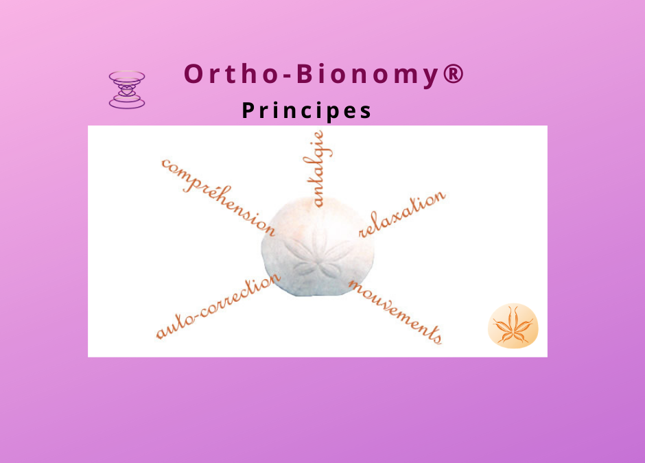 Comment ça fonctionne l’Ortho-Bionomy®?                                            Différents aspects  (3/7)